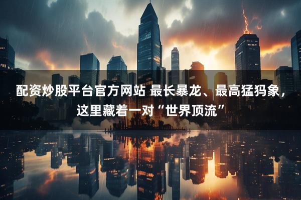 配资炒股平台官方网站 最长暴龙、最高猛犸象，这里藏着一对“世界顶流”